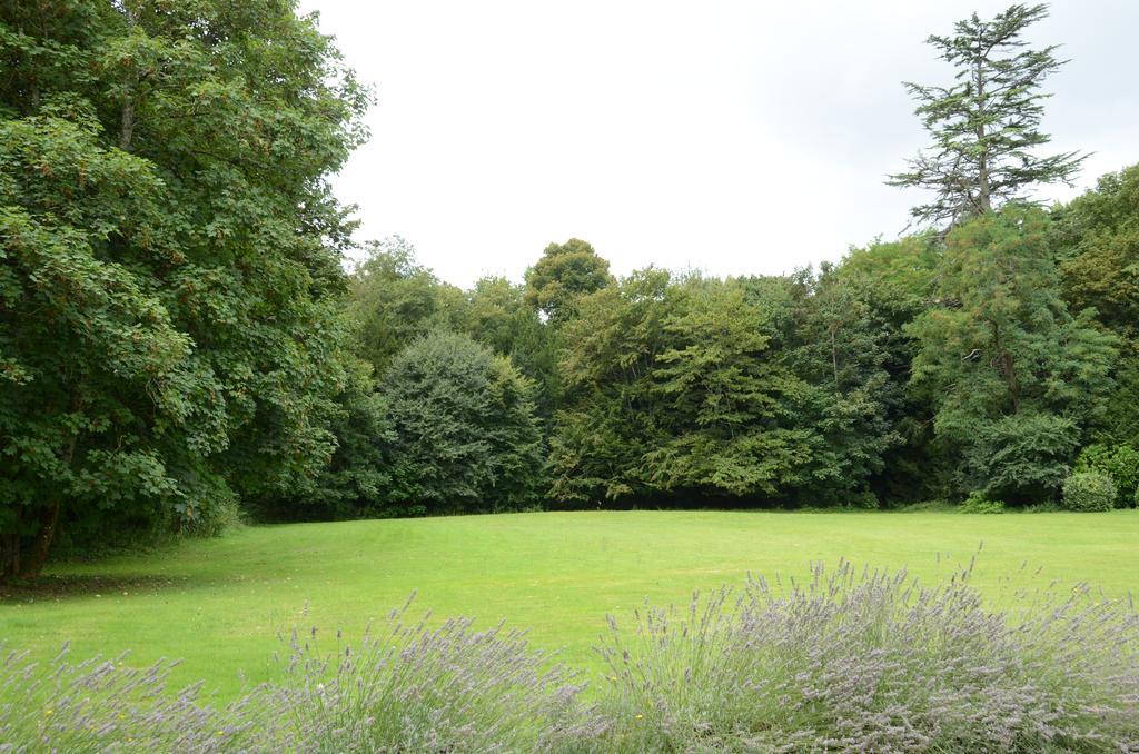 Les Mazeraies Maison D'Hotes Avec Spa Savonnières Esterno foto