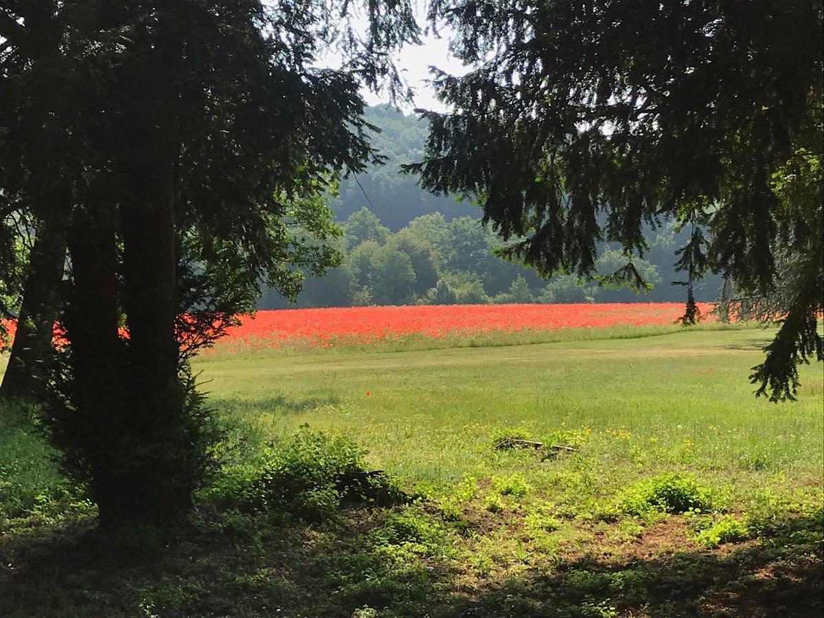 Les Mazeraies Maison D'Hotes Avec Spa Savonnières Esterno foto