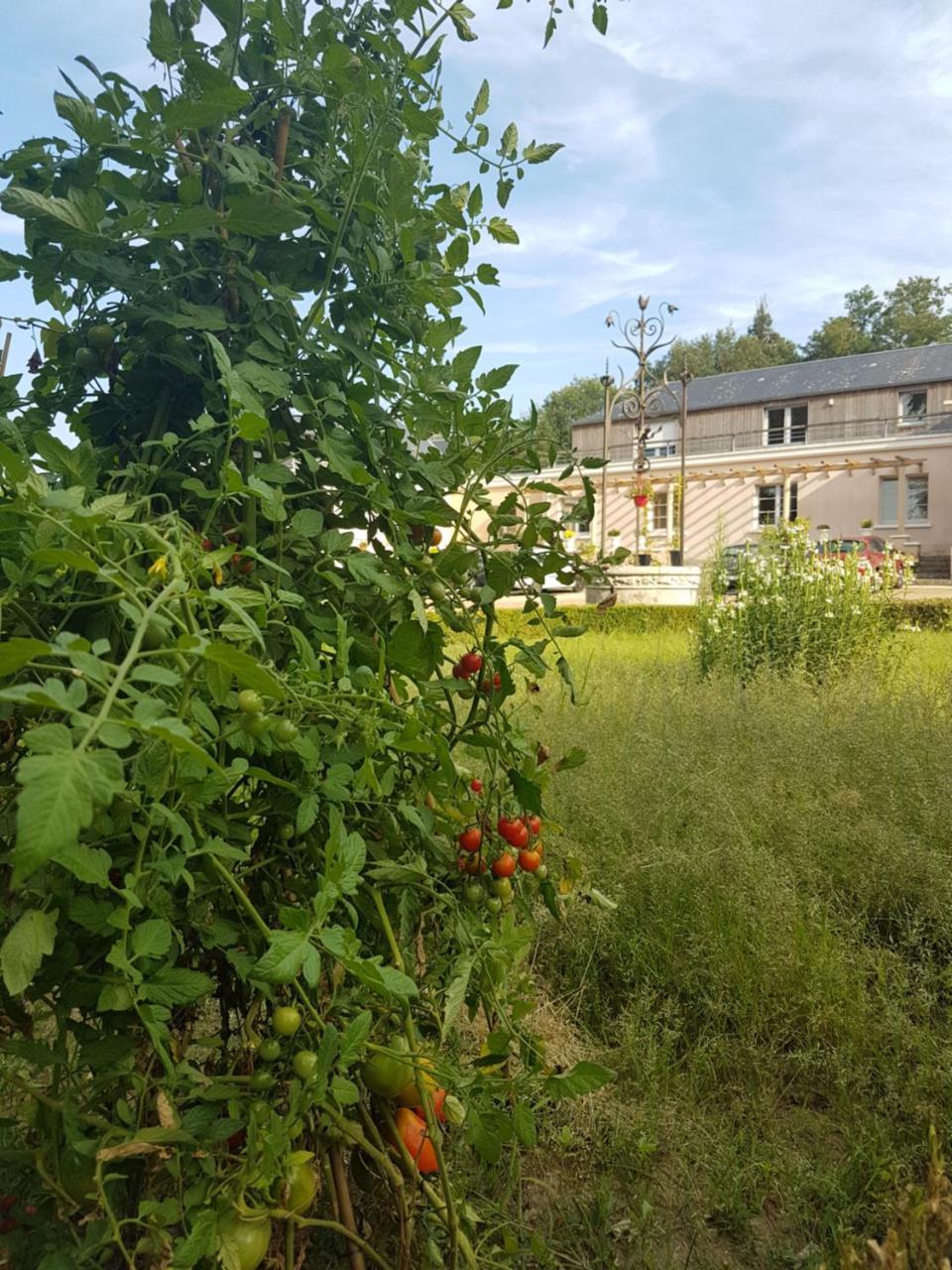 Les Mazeraies Maison D'Hotes Avec Spa Savonnières Esterno foto